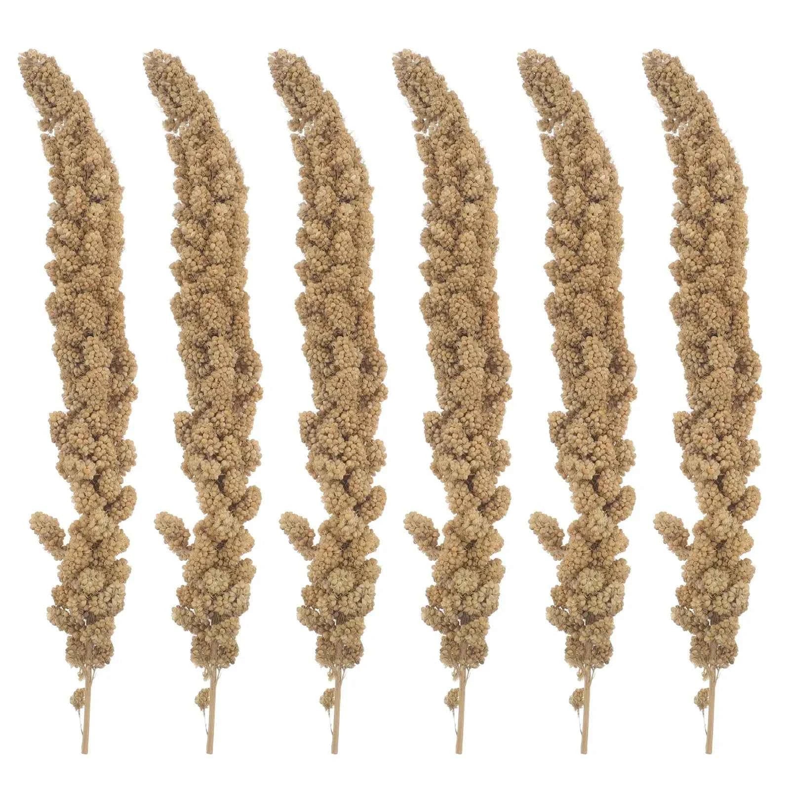 Natural Millet Food for Parrots & Cockatiels - 500g Pack by Souths Cheap Stuff