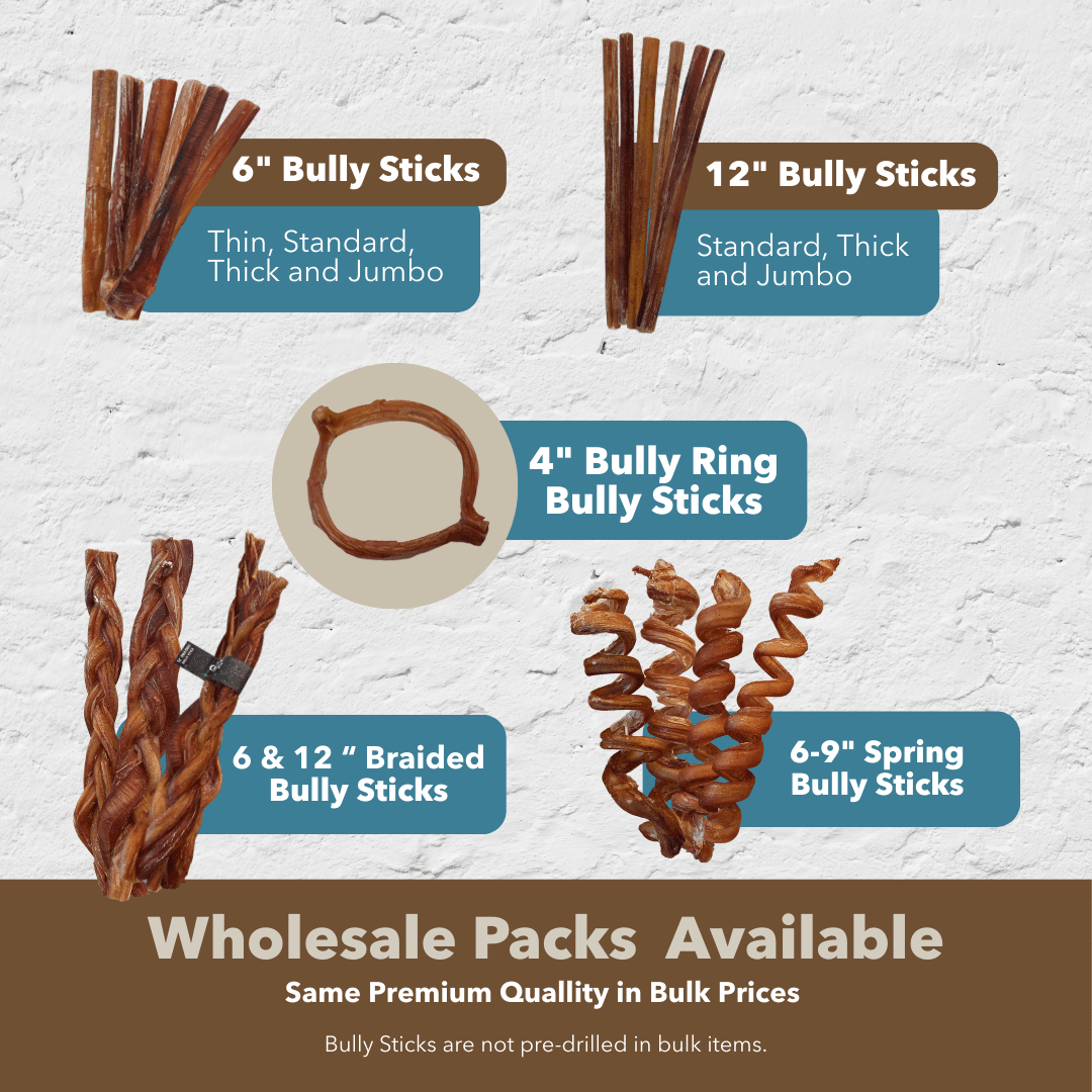 6 Inch Thick Braided Bully Sticks All Natural Low Odor Grass Fed Beef Pizzle - shop_name pets petsupplys