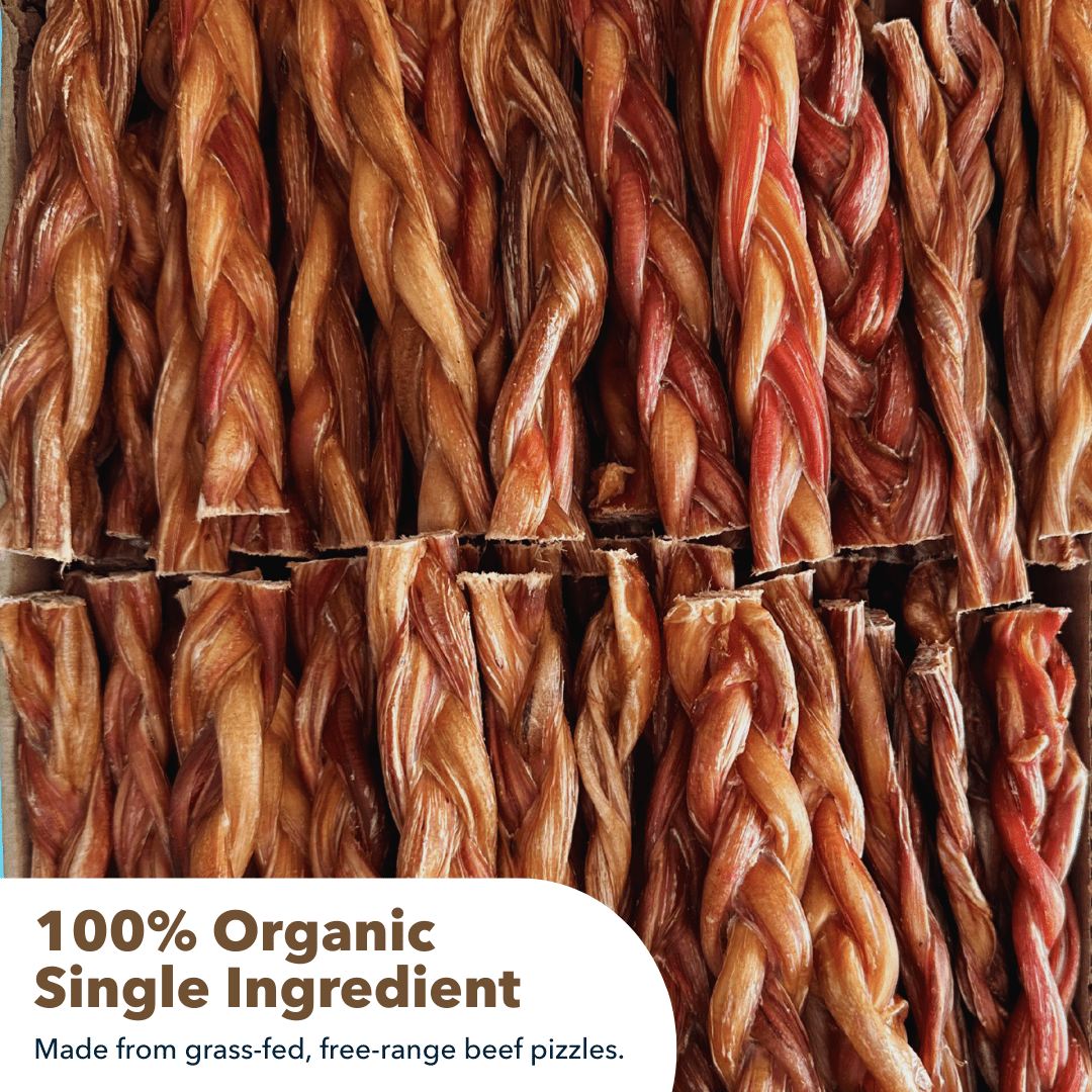 6 Inch Thick Braided Bully Sticks All Natural Low Odor Grass Fed Beef Pizzle - shop_name pets petsupplys