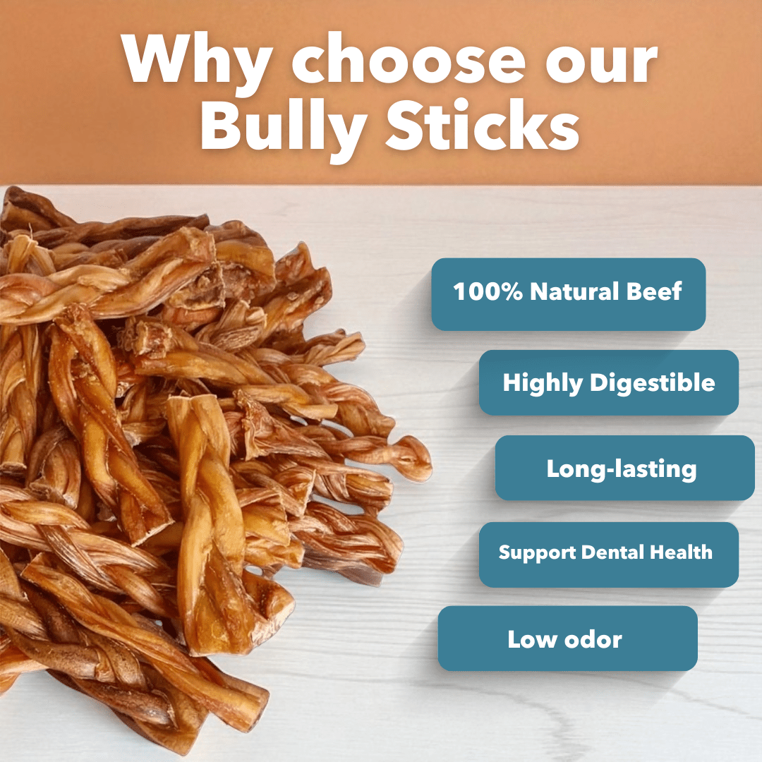 6 Inch Thick Braided Bully Sticks All Natural Low Odor Grass Fed Beef Pizzle - shop_name pets petsupplys
