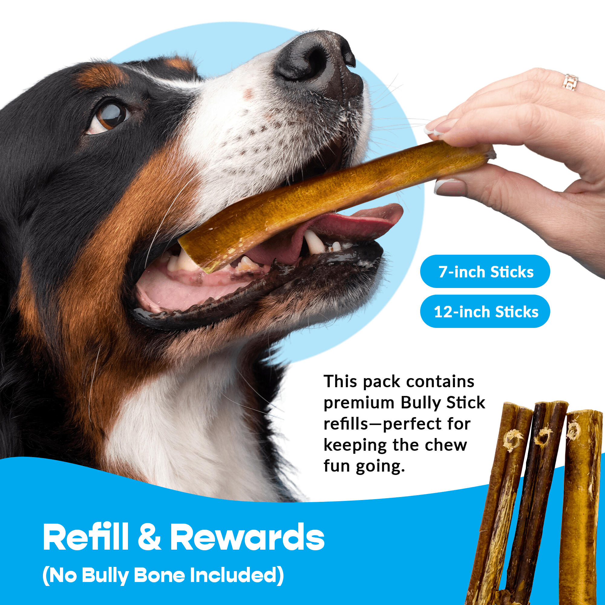 7 Inch Jumbo Bully Sticks Refill Pack Pre Drilled For Mighty Chewz Holder - shop_name pets petsupplys