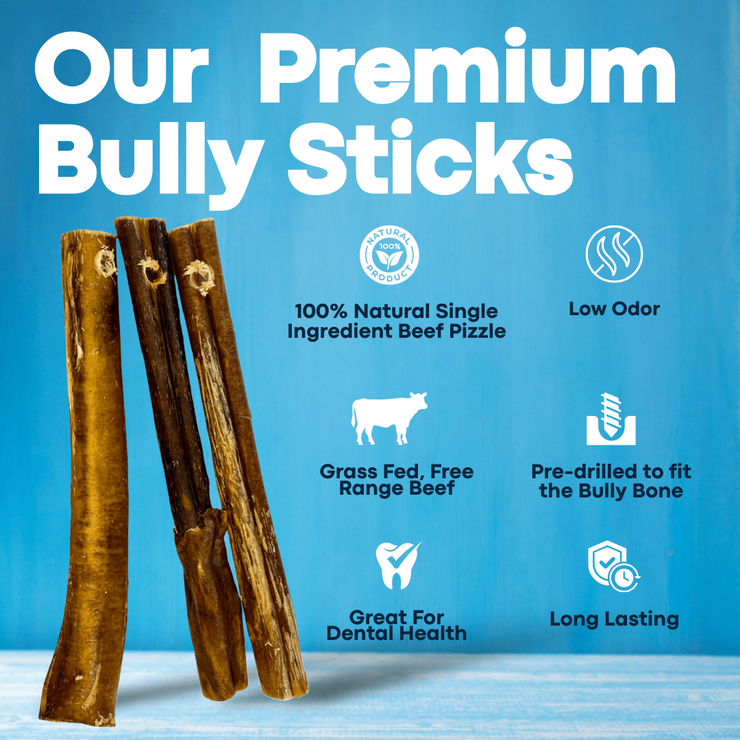 7 Inch Jumbo Bully Sticks With Holder for Safe Chewing and Choking Prevention - shop_name pets petsupplys