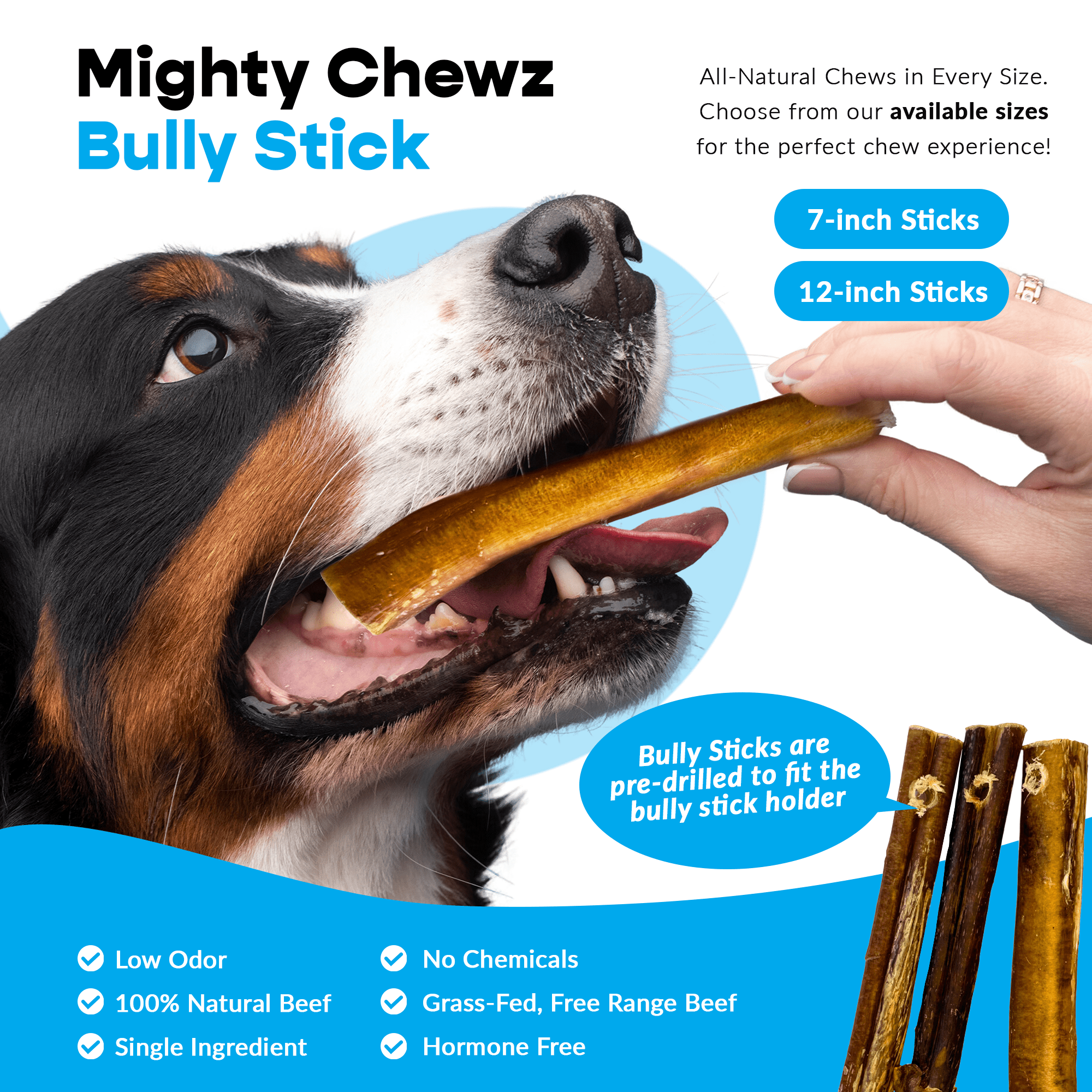 7" Thick Bully Sticks - Refill Pack - shop_name pets petsupplys