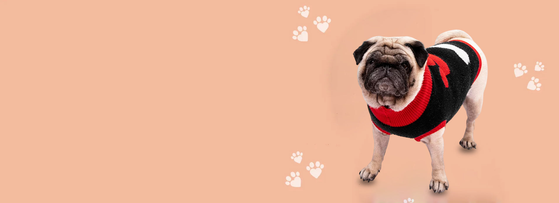 _img_banner