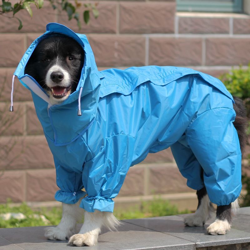A Raincoat for all small and large dogs; Pet raincoat Medium large dog Golden hair Samo Alaska waterproof four foot raincoat Dog hooded raincoat - Spot