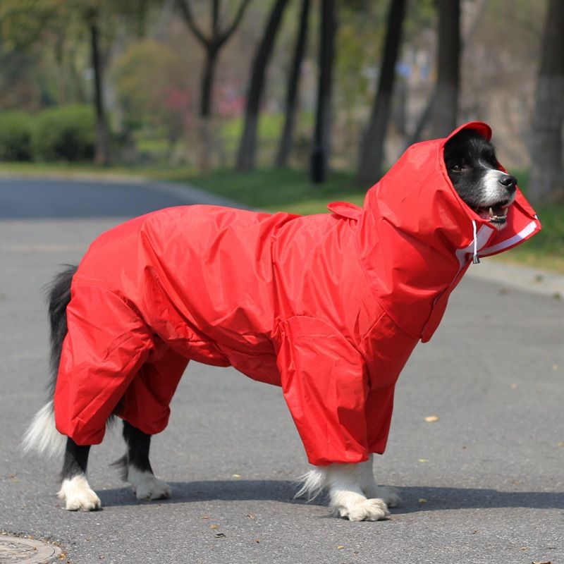 A Raincoat for all small and large dogs; Pet raincoat Medium large dog Golden hair Samo Alaska waterproof four foot raincoat Dog hooded raincoat - Spot