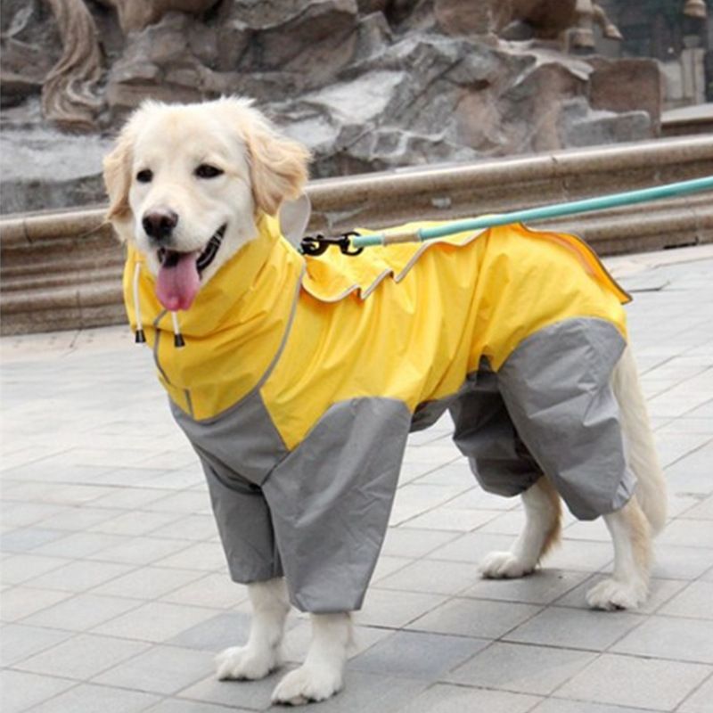 A Raincoat for all small and large dogs; Pet raincoat Medium large dog Golden hair Samo Alaska waterproof four foot raincoat Dog hooded raincoat - Spot