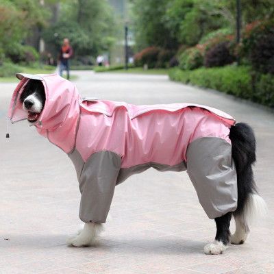 A Raincoat for all small and large dogs; Pet raincoat Medium large dog Golden hair Samo Alaska waterproof four foot raincoat Dog hooded raincoat - Spot
