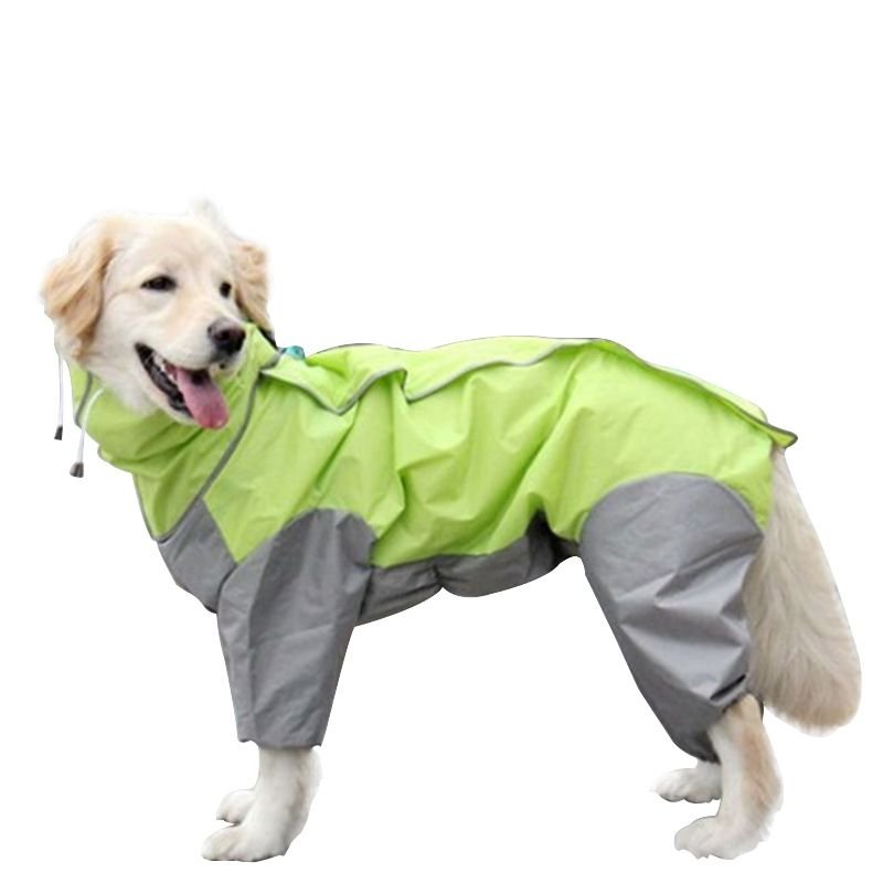 A Raincoat for all small and large dogs; Pet raincoat Medium large dog Golden hair Samo Alaska waterproof four foot raincoat Dog hooded raincoat - Spot
