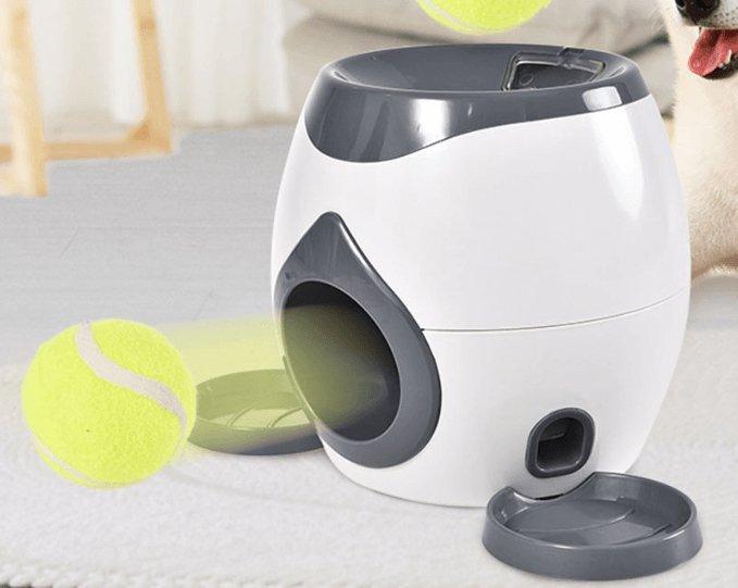 Automatic Pet Training And Feeding System by Dog Hugs Cat