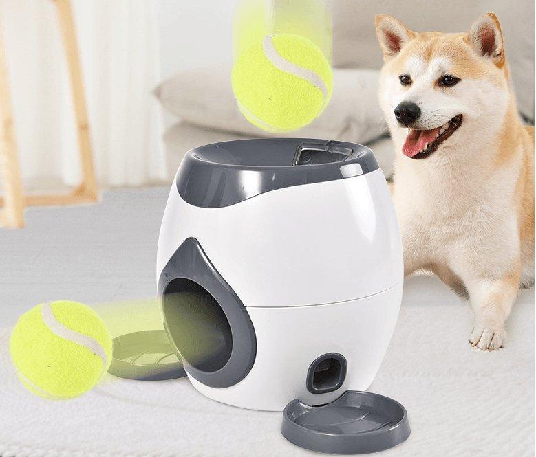 Automatic Pet Training And Feeding System by Dog Hugs Cat