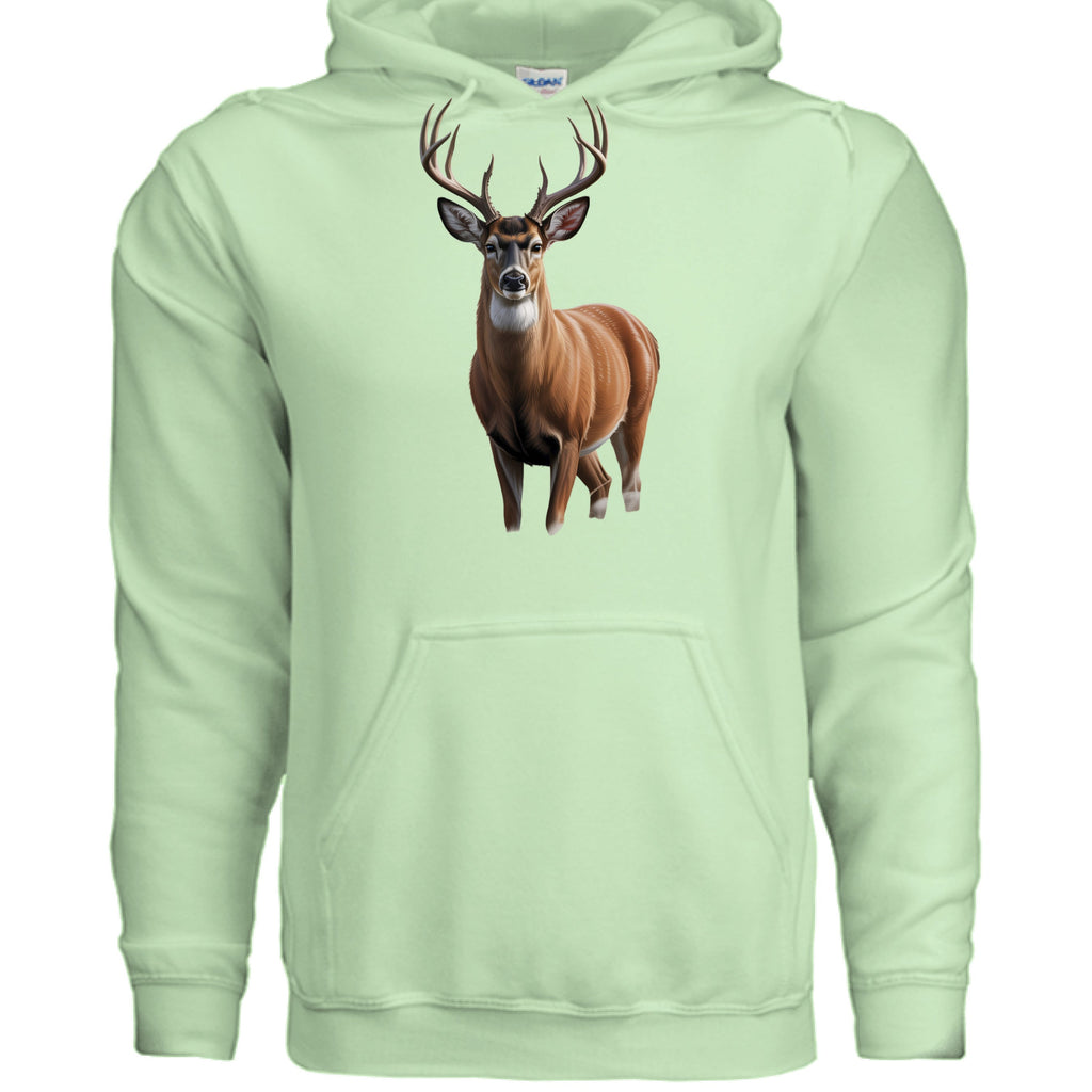 Big buck deer - Spot