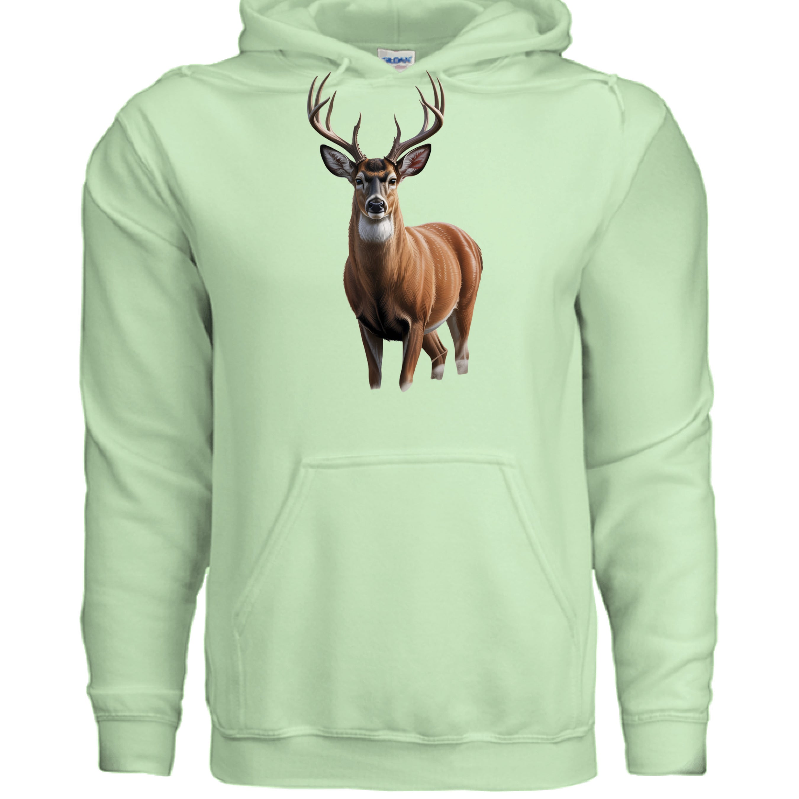 Big buck deer - Spot