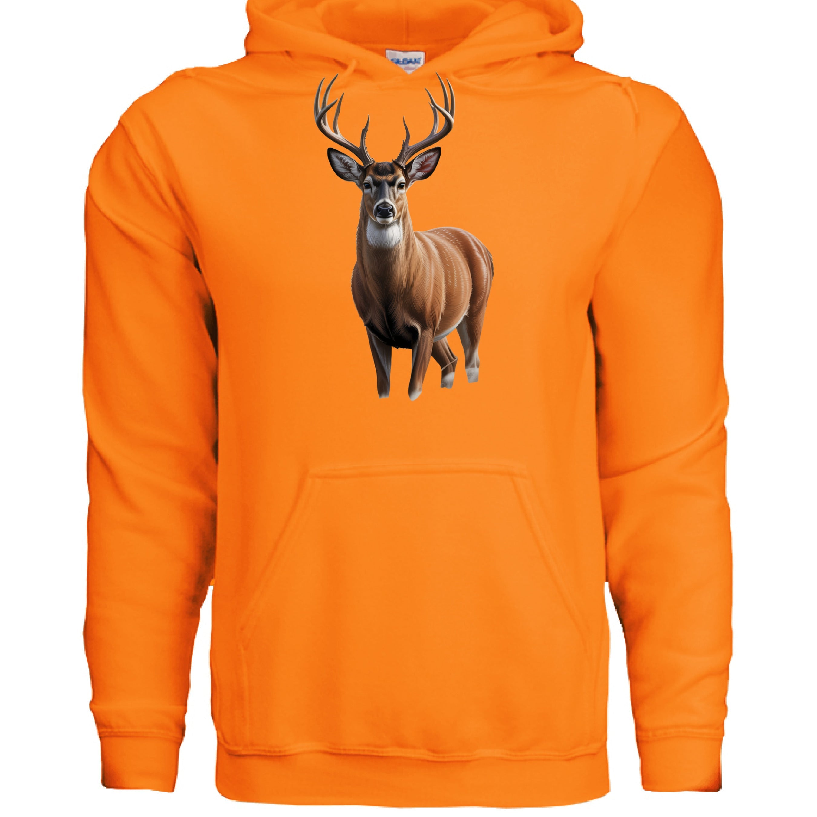 Big buck deer - Spot