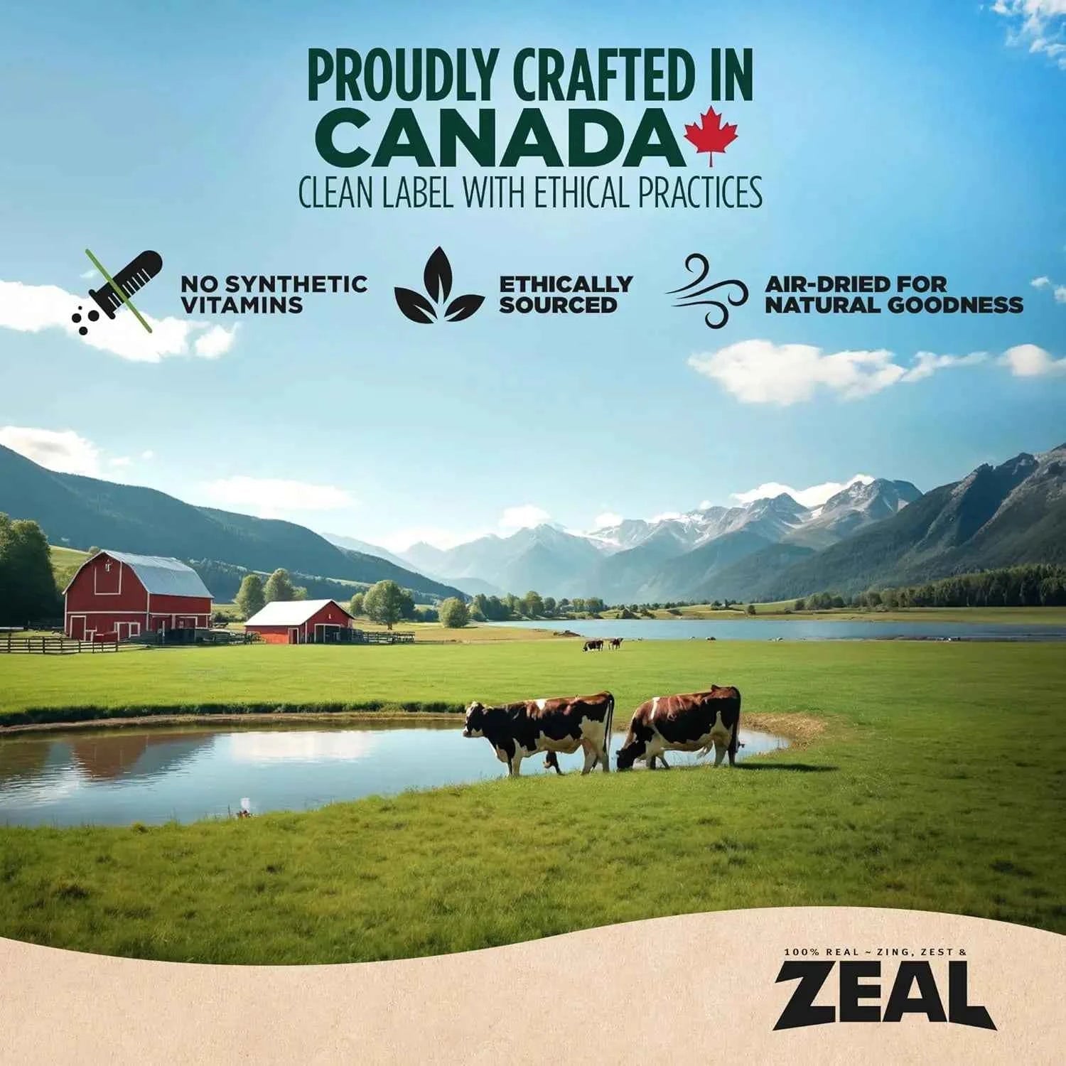 Canada Air-Dried Salmon & Duck Dog Food - Omega-3 Rich, Grain-Free, No Fillers, 1 lb by Souths Cheap Stuff