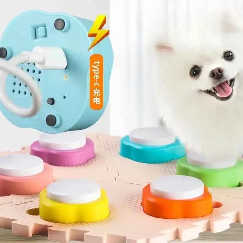 Pet Training Bell & Dog Recording Toy: Sound Making Device by Souths Cheap Stuff