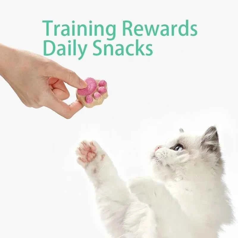 Cat Freeze Dried Snacks High Protein Chicken Fruits and Vegetables Freeze Dried Food for Pet by Souths Cheap Stuff