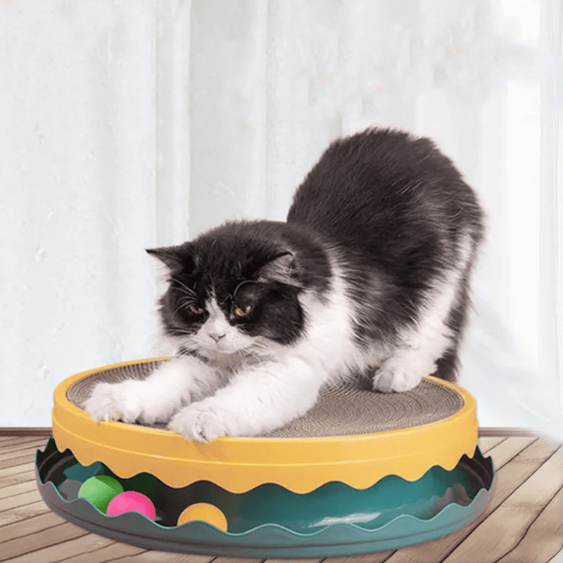 Compass Cat scratching Tray Cat scratching board, Cat scratching board with Ball, Interactive training Exercise Mouse Toys with Ball, scratching board Cat scratching Hopper, Indoor Cat Exercise Intera - Spot