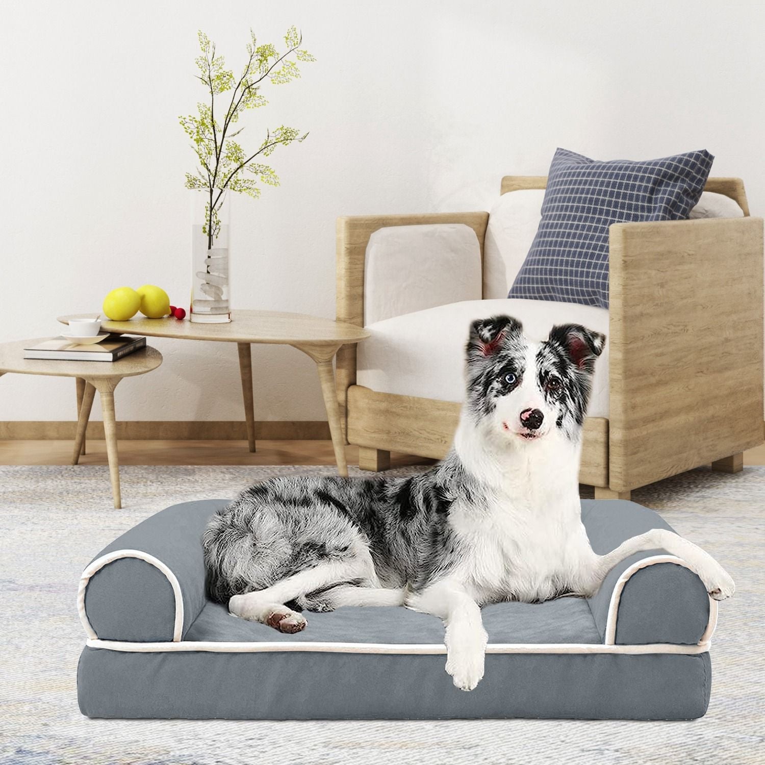 Dog Bed Pet Bed Sofa Dog Couch Pet Cushion Carpet Mattress with Washable and Removable Cover for Medium Large Dogs - Spot