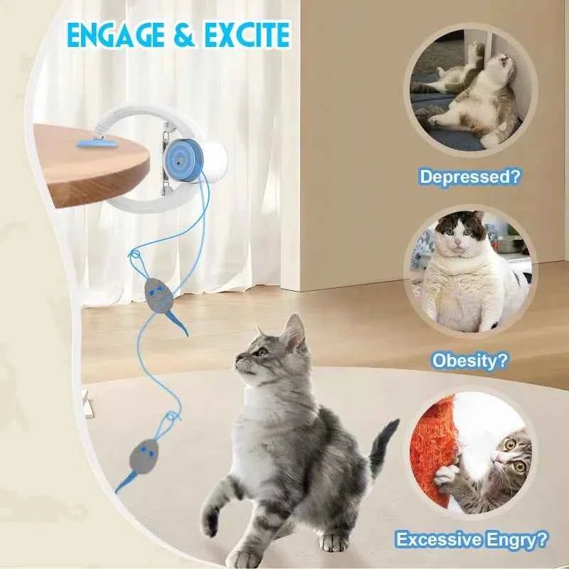 Interactive Auto-Rebound Cat Toy with Catnip Mice - Indoor Kitten Teaser by Souths Cheap Stuff