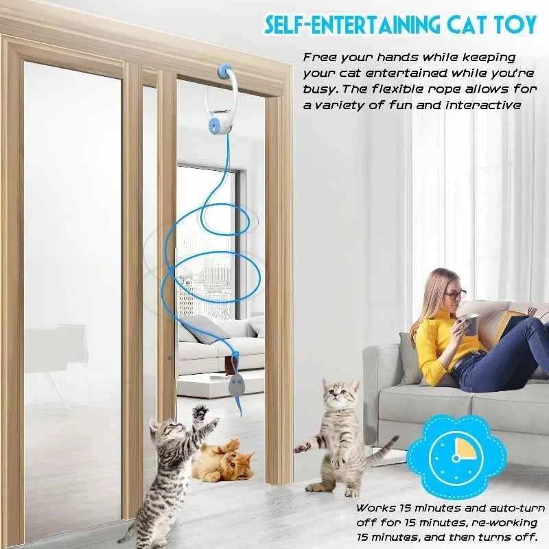 Interactive Auto-Rebound Cat Toy with Catnip Mice - Indoor Kitten Teaser by Souths Cheap Stuff