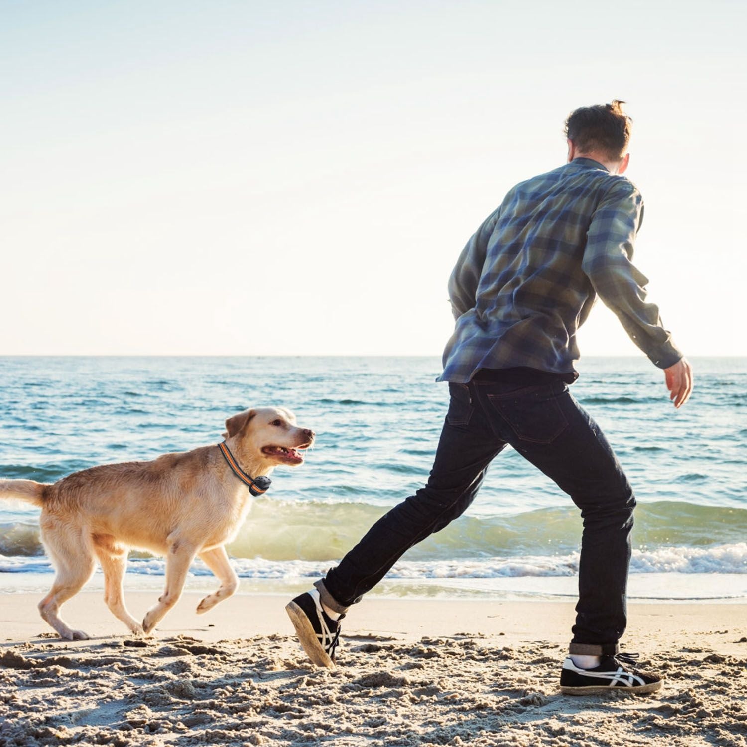 2 In 1 Dog GPS Fence Tracker Wireless GPS Dog Fence GPS Dog Collar with 32 - 2887FT Radius IPX6 Waterproof - Spot