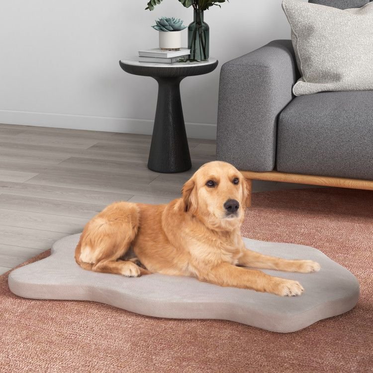 Orthopedic Dog Bed with Memory Foam Support for Large Dogs - Spot
