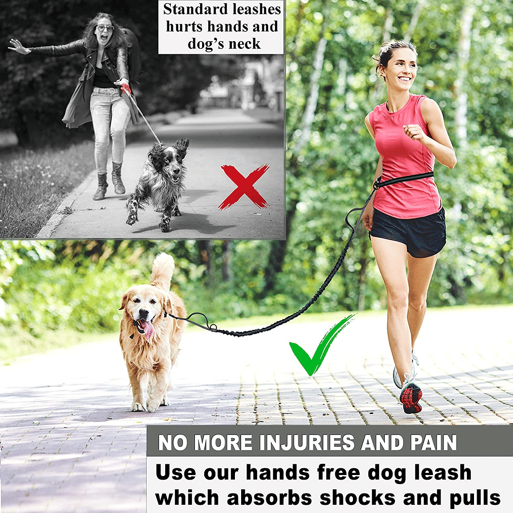 Hands Free Dog Leash for Medium and Large Dogs - Durable Dual Handle Waist Leash with Reflective Bungee for Running; Walking; Training; Hiking - Spot