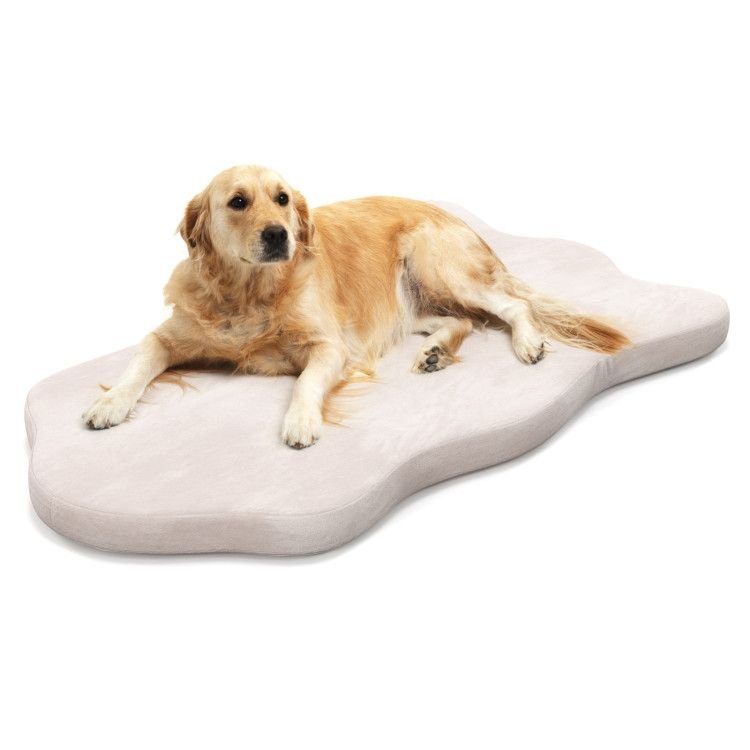 Orthopedic Dog Bed with Memory Foam Support for Large Dogs - Spot
