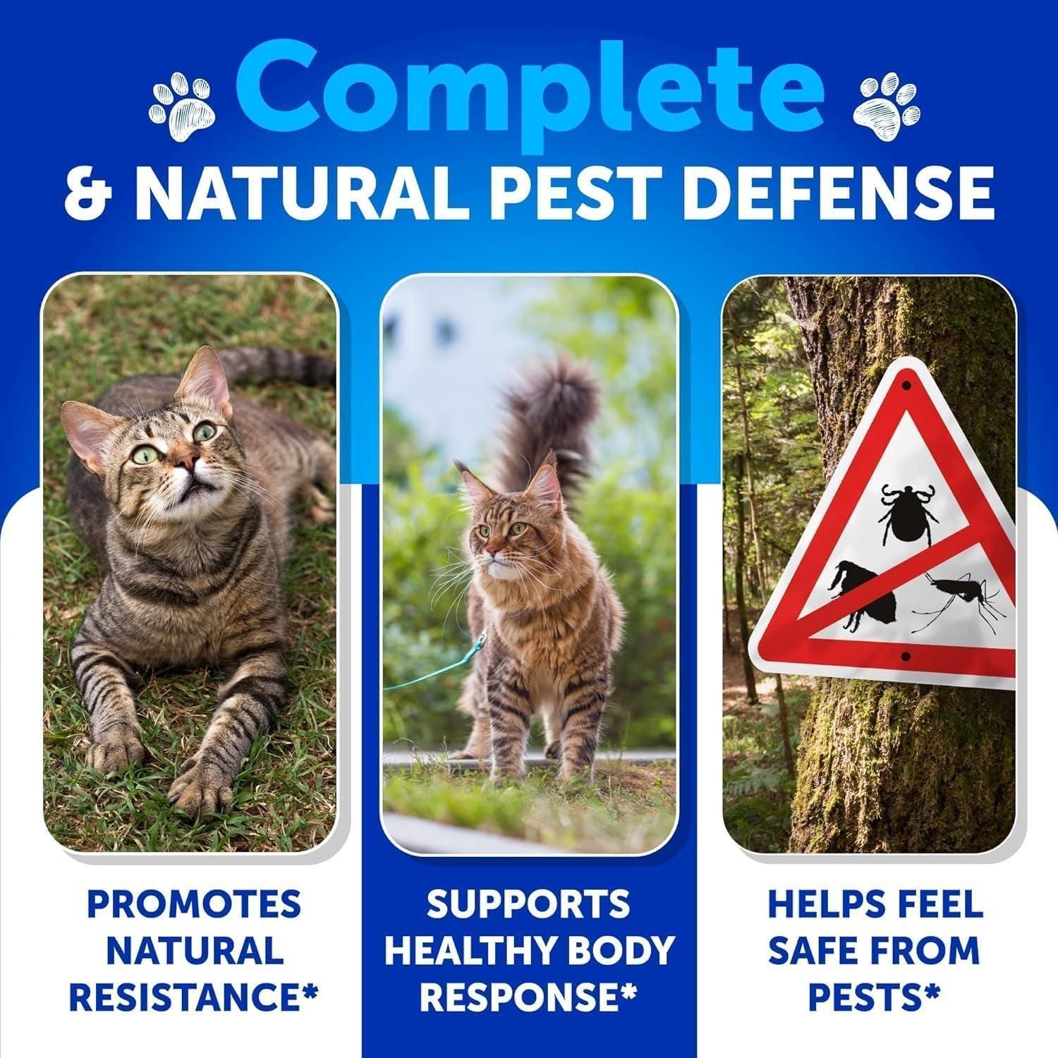 Flea Treatment for Cats Natural Flea and Tick Prevention Supplement for Cats Kittens Chewable Daily Oral Pills with Vitamins 135 Soft Chews Skin & Coat Dental treats Digestion - Spot