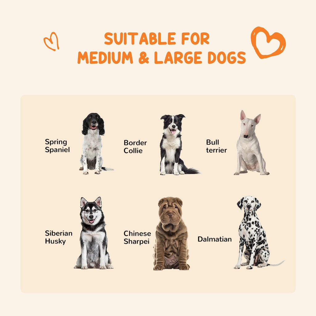 Dog Kennel Outdoor for Large and Medium Dogs, 9.3' x 4.6' x 5.2' - Spot