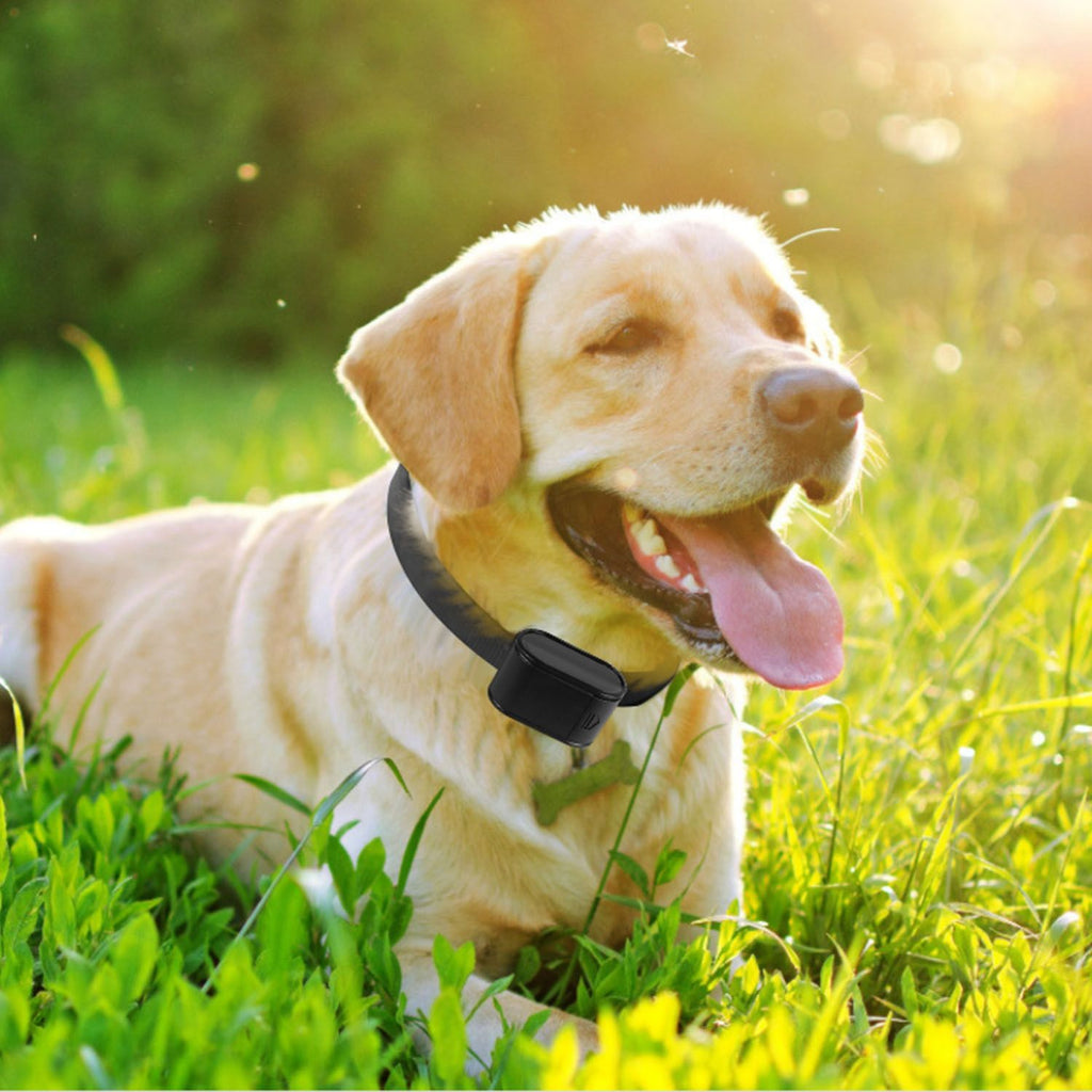 Electric Dog Fence System Pet Tone Shock Boundary Containment Water Resistant Collar Receiver For Small Medium Large Dog - Spot