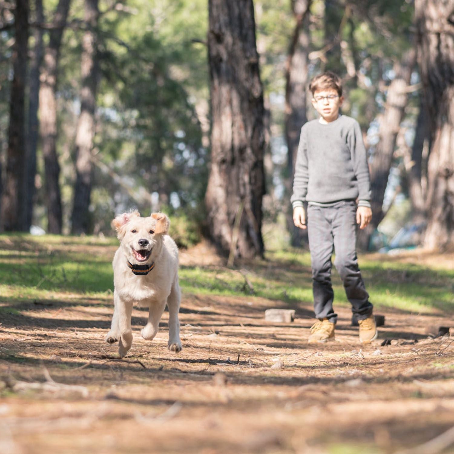 2 In 1 Dog GPS Fence Tracker Wireless GPS Dog Fence GPS Dog Collar with 32 - 2887FT Radius IPX6 Waterproof - Spot