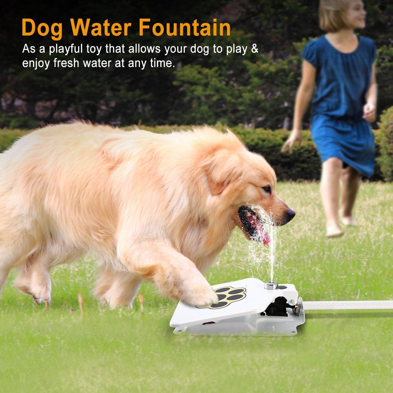Dog Water Fountain Outdoor Dog Pet Water Dispenser Step - on Activated Sprinkler - Spot