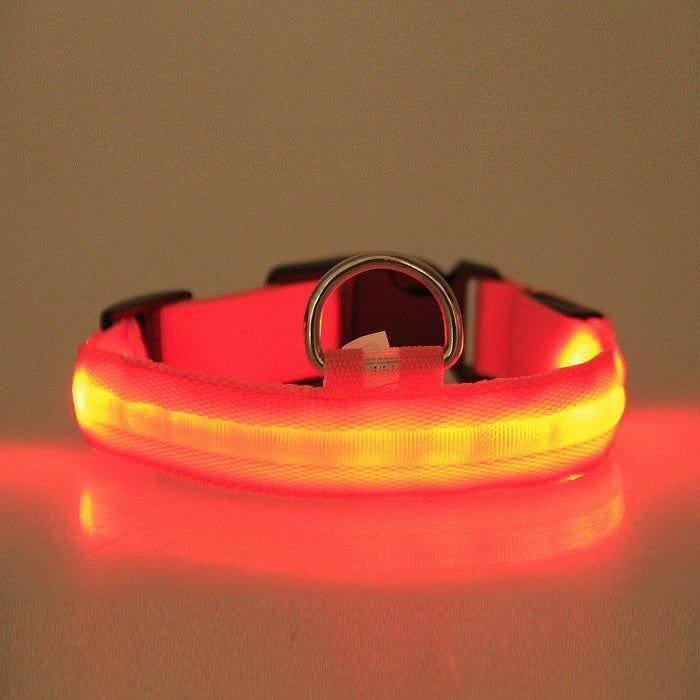LED PET Safety Halo Style Collar - Spot