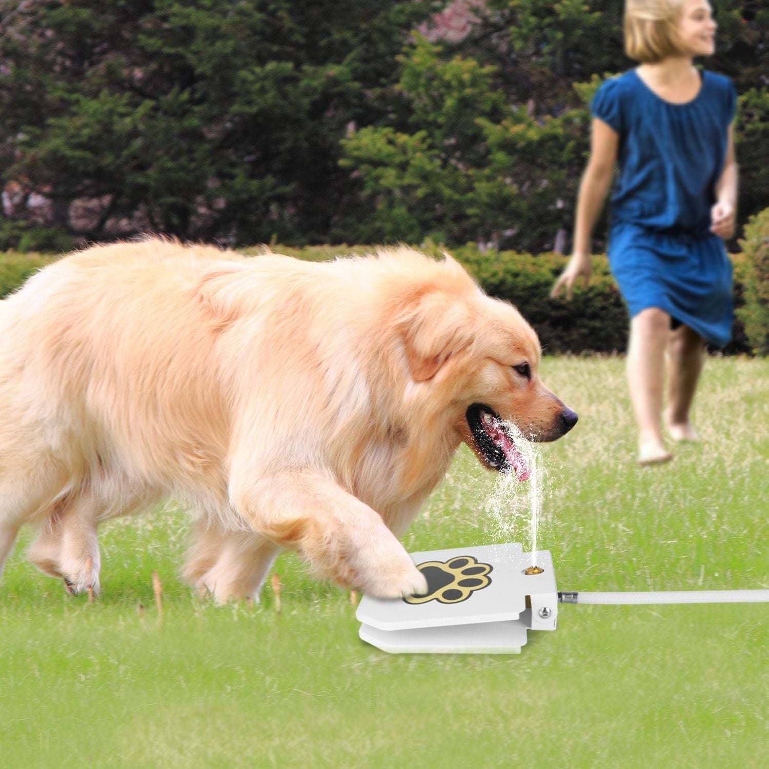 Dog Water Fountain Outdoor Dog Pet Water Dispenser Step - on Activated Sprinkler - Spot