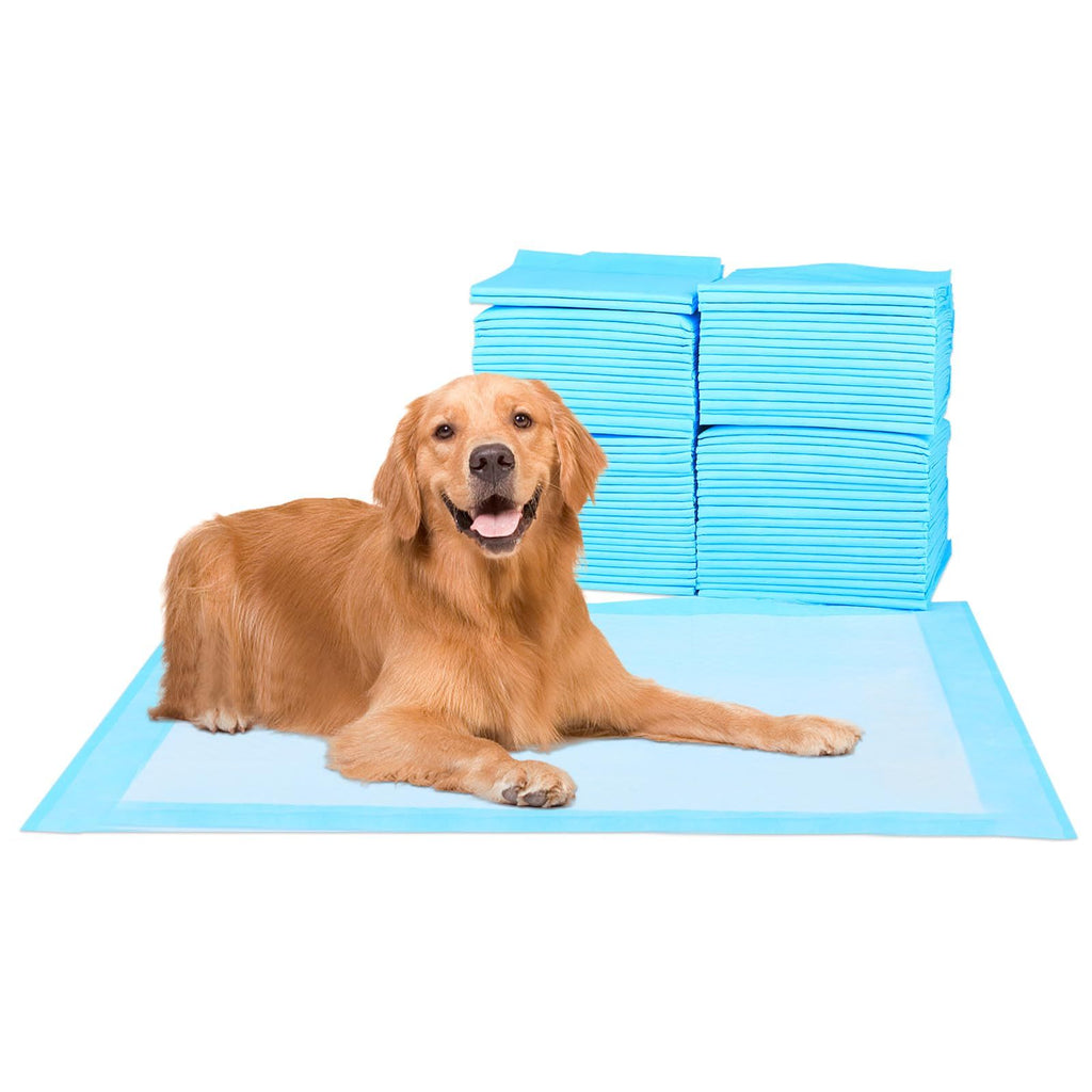 40 Pcs 30" x 36" Premium Disposable Training Pads, Pee Pads, Training Pads, Disposable Puppy Pee Pads, Quick Absorb and Odor Control, Manufactured in The US - Spot