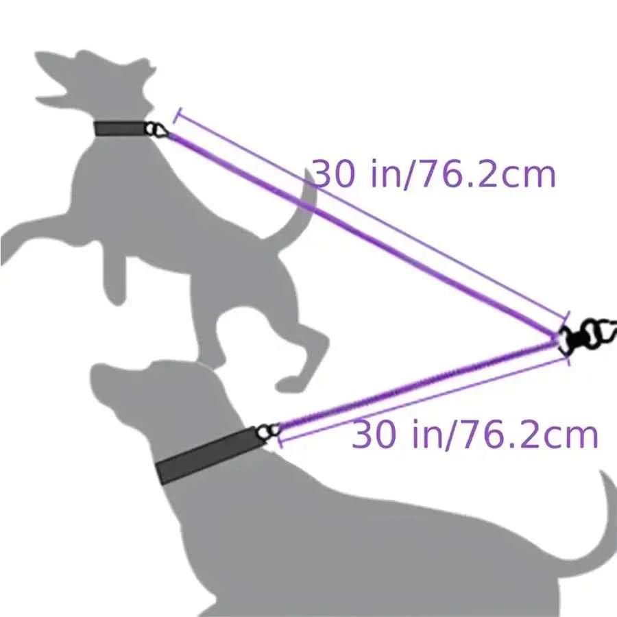 Premium Tangle-Free Dual Dog Leash for Small Dogs - Double Safety on Walks by Souths Cheap Stuff