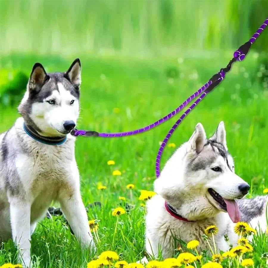 Premium Tangle-Free Dual Dog Leash for Small Dogs - Double Safety on Walks by Souths Cheap Stuff