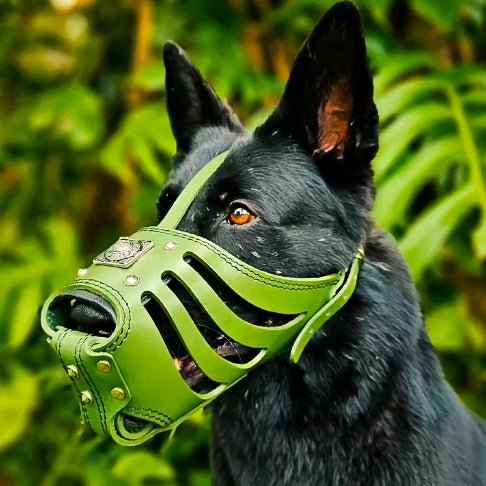 ''Eros'' Basket Muzzle GREEN by BESTIA