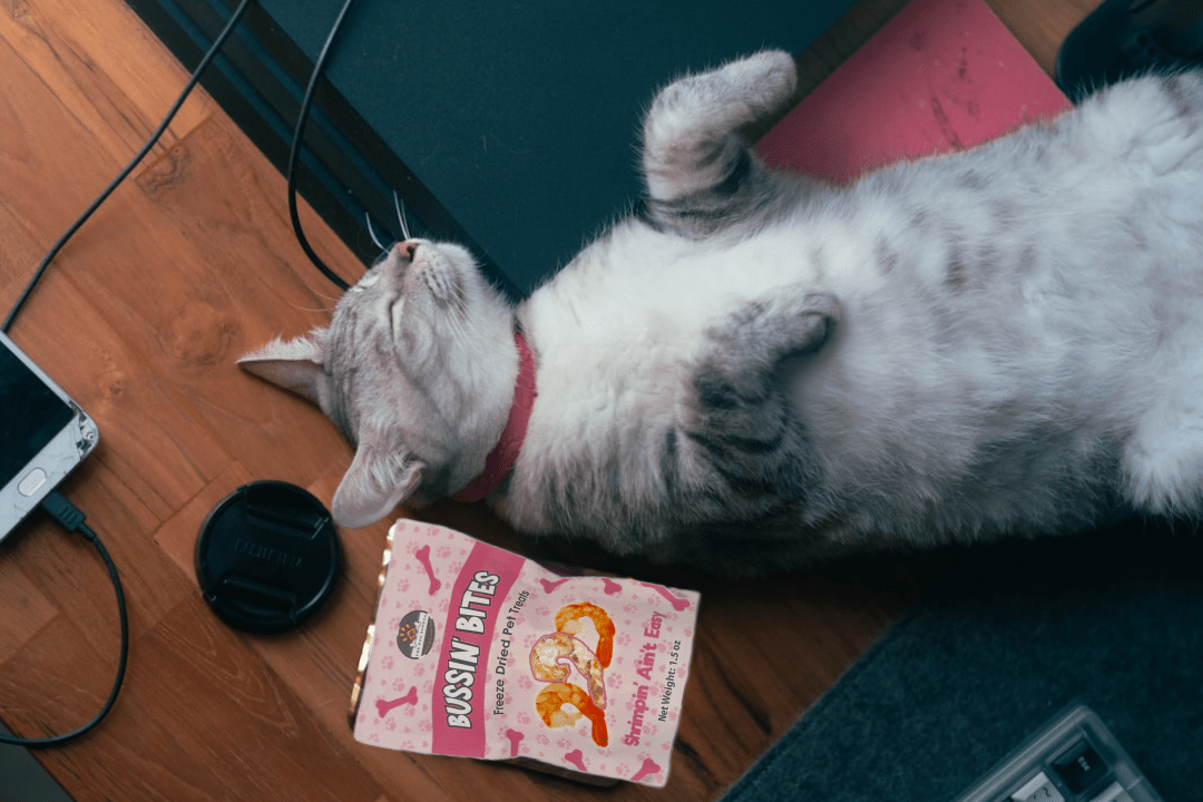 Freeze Dried Shrimp Training Treats For Dogs And Cats Single Ingredient - shop_name pets petsupplys