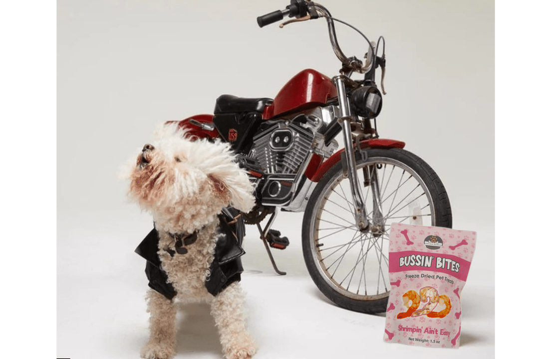 Freeze Dried Shrimp Training Treats For Dogs And Cats Single Ingredient - shop_name pets petsupplys