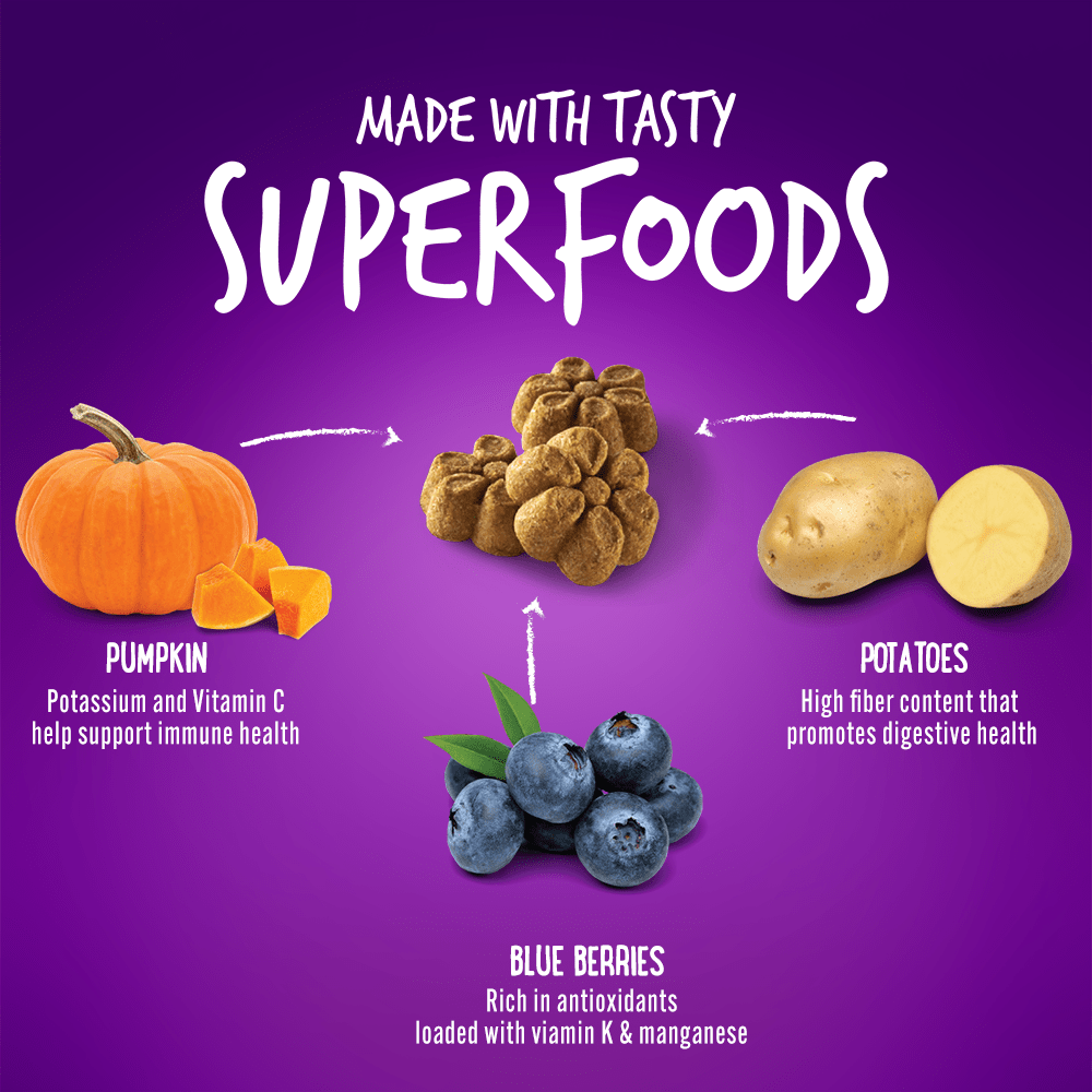 Fruitables Pumpkin and Blueberry Mix Dog Treats 8x7 Oz - shop_name pets petsupplys