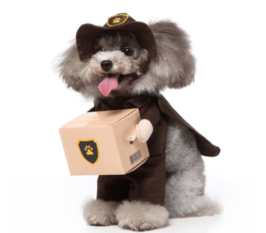 Funny Cosplay Pet Costume Set: Cute Cartoon Dog Outfit For Halloween And Christmas Dress-Up by Dog Hugs Cat