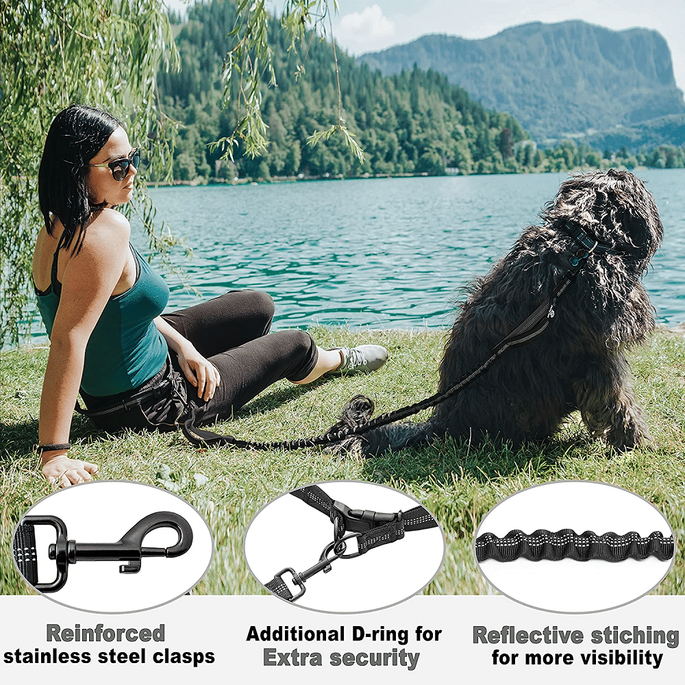 Hands Free Dog Leash for Medium and Large Dogs - Durable Dual Handle Waist Leash with Reflective Bungee for Running; Walking; Training; Hiking - Spot