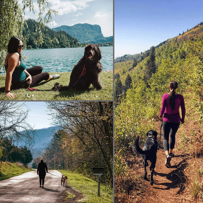 Hands Free Dog Leash for Medium and Large Dogs - Durable Dual Handle Waist Leash with Reflective Bungee for Running; Walking; Training; Hiking - Spot