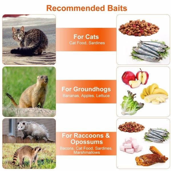 Humane Animal Trap Cage (30.51x11.02x11.81in) - Galvanized Sturdy Wire Mesh, Sensitive Trigger & Dual Doors, Handle Guard Plate, Collapsible for Raccoons, Opossums, Skunks Under 16.5lbs Indoor/Outdoor - Spot