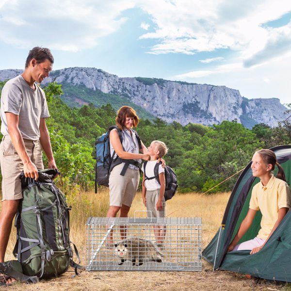 Humane Animal Trap Cage (30.51x11.02x11.81in) - Galvanized Sturdy Wire Mesh, Sensitive Trigger & Dual Doors, Handle Guard Plate, Collapsible for Raccoons, Opossums, Skunks Under 16.5lbs Indoor/Outdoor - Spot