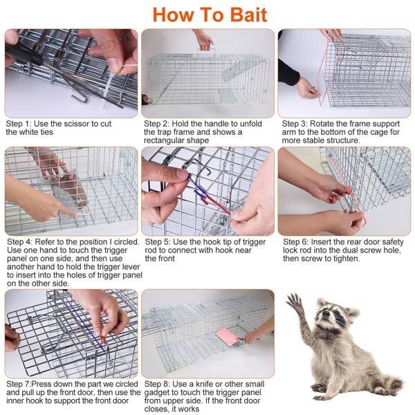 Humane Animal Trap Cage (30.51x11.02x11.81in) - Galvanized Sturdy Wire Mesh, Sensitive Trigger & Dual Doors, Handle Guard Plate, Collapsible for Raccoons, Opossums, Skunks Under 16.5lbs Indoor/Outdoor - Spot