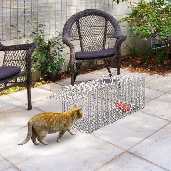 Humane Animal Trap Cage (30.51x11.02x11.81in) - Galvanized Sturdy Wire Mesh, Sensitive Trigger & Dual Doors, Handle Guard Plate, Collapsible for Raccoons, Opossums, Skunks Under 16.5lbs Indoor/Outdoor - Spot